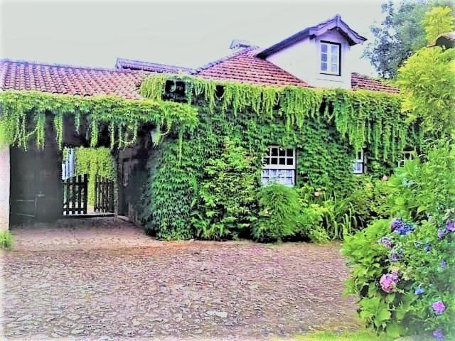 Casa Da Roseira Bed and Breakfast Ponte de Lima Eksteriør billede